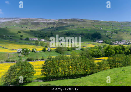 Villaggio Gunnerside in Swaledale con Brownsey Moor in background, guardando da Satron. Foto Stock