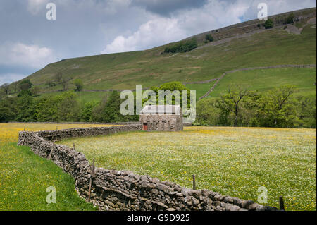 Granai in pietra in prati fioriti, inizio estate, in Swaledale, vicino Muker, Yorkshire Dales National Park, Regno Unito. Foto Stock