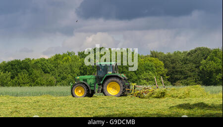 Agricoltore il lavoro dei campi, il trattore con il voltafieno, nuvole scure, Dietzenbach, Hesse, Germania Foto Stock