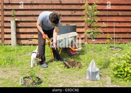 Uomo con impianti di cane una ciliegia in giardino Foto Stock