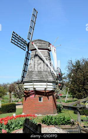Il mulino a vento a Veldheer azienda durante il tulip time festival in Olanda, Michigan Foto Stock