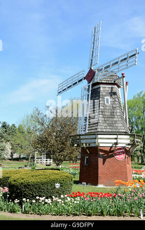 Il mulino a vento a Veldheer azienda durante il tulip time festival in Olanda, Michigan Foto Stock