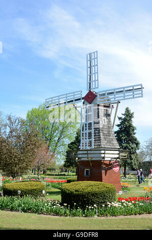 Il mulino a vento a Veldheer azienda durante il tulip time festival in Olanda, Michigan Foto Stock