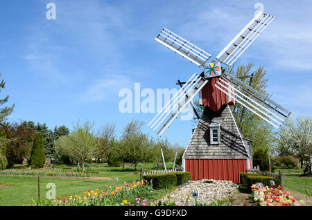 Il mulino a vento a Veldheer azienda durante il tulip time festival in Olanda, Michigan Foto Stock