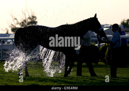 Corse ippiche - Epsom Live! Con UB40 - Ippodromo di Epsom Downs. I cavalli vengono raffreddati in condizioni di caldo Foto Stock