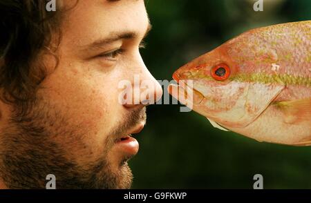 Aste uomo schiaffo in faccia con pesce umido Foto Stock