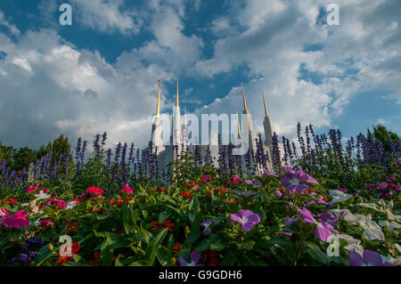 Guardando verso l'alto attraverso il giardino presso la Chiesa di Gesù Cristo di quest'ultimo giorno dei Santi Foto Stock