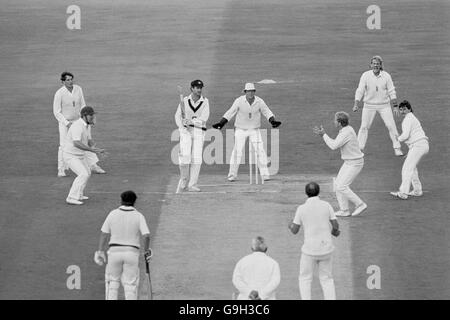 David Gower dell'Inghilterra (terza r) prende una presa per respingere Wayne Phillips dell'Australia (quarto l) dopo che la sfera aveva deviato fuori il modello di Allan Lamb (r) nelle sue mani. Tra le più in vista ci sono John Emburey (l), Mike Gatting (seconda l), Paul Downton (quinta l), Phil Edmonds (quarta r) e Ian Botham (seconda r) Foto Stock