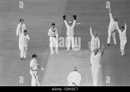 Inghilterra John Emburey (l), Mike Gatting (secondo l), Paul Downton (quinto l), Phil Edmonds (quarto r), David Gower (terzo r), Ian Botham (secondo r) e Allan Lamb (r) appello per il wicket dell'Australia Wayne Phillips (quarto l) dopo la presa di Gower di una palla che ha deviato fuori della scarpa di Lamb Foto Stock