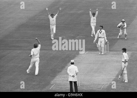 L'inglese Ian Botham (l) celebra la sua prima prova wicket con il licenziamento di Greg Chappell (terza r) in Australia per il 19, per la gioia dei compagni di squadra Tony Greig (seconda l), Mike Brearley (quarta r) e Alan Knott (top r) Foto Stock