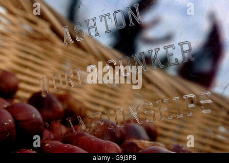 I concorrenti e i conker si riflettono nel trofeo dei Mondiali Conker di Ashton, Northamptonshire. Foto DELL'ASSOCIAZIONE PRES. Data immagine: Domenica 8 ottobre 2006. Più di 250 uomini e più di 60 donne hanno gareggiato per i 2006 titoli su un verde dietro un pub. Guarda la storia di PA SUI SOCIAL Conker. Il credito fotografico dovrebbe essere: Chris Radburn/PA. Foto Stock