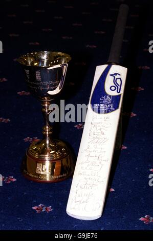 Cricket - Surrey CCC Centro Indoor - Guildford, Surrey Foto Stock