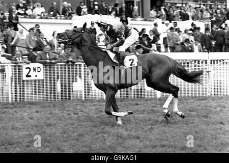 Il maestro Willie guidato da P.Waldron vince da Vielle guidato da Lester Piggot Foto Stock
