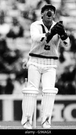 Il wicketkeeper australiano Rodney Marsh fa un forte appello come quello inglese Paul Parker è catturato da Martin Kent fuori dal bowling Di Terry Alderman Foto Stock