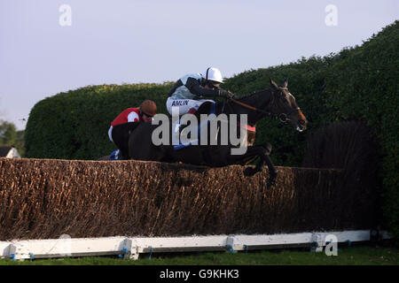 Racing - William Hill Tingle Creek giorno - Sandown Foto Stock