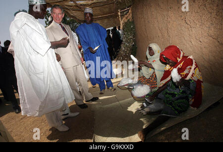 Il principe Carlo incontra la gente del posto che fa il cotone con metodi tradizionali al villaggio di Dawakin Kudu, a Kano, in Nigeria, il tredico giorno del suo tour dell'Africa occidentale. Foto Stock