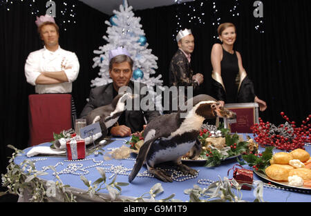 Due pinguini Humbolt "Happy Feet" di 5 anni di età gusteranno un pranzo natalizio con personaggi di Jamie Oliver (da sinistra), George Clooney, Graham Norton e Julia Roberts al Madame Tussauds, a Londra, durante l'apertura ufficiale del paese delle meraviglie di Christmas Blush. Foto Stock