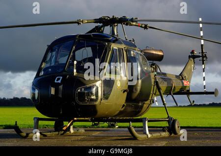 Westland Scout XT626, G-CIBW, Middle Wallop, Inghilterra, Regno Unito. Foto Stock