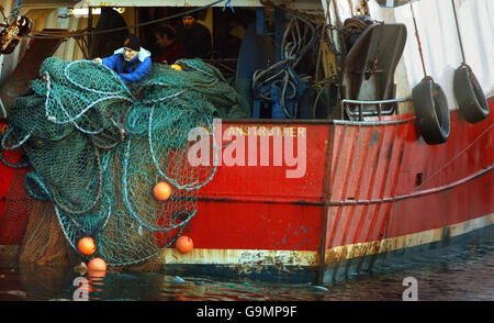 Pesce colloqui del contingente fissato per long haul Foto Stock