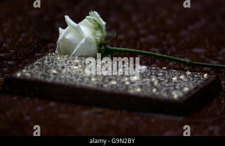 Una rosa solitaria riposa sulla bara dell'ex spia russa Alexander Litvinenko durante i suoi funerali al cimitero Highgate nel nord di Londra. Foto Stock