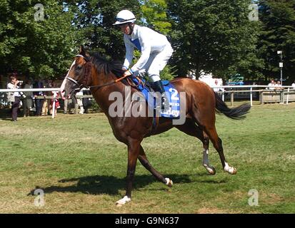 Corse di cavalli - Il Ritz Club Luglio Festival - Newmarket luglio corso Foto Stock