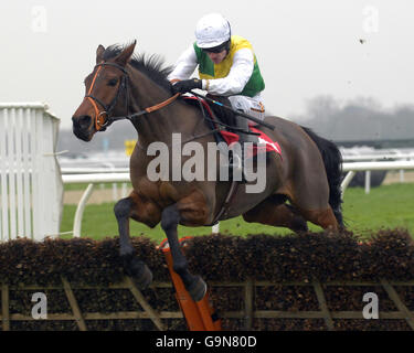 Corse ippiche - Stan James Christmas Festival 2006 - Kempton Park. Kicks for Free, guidato da Ruby Walsh salta l'ultimo durante la gara di ostacoli del stanjamesuk.com Novices al Kempton Park. Foto Stock