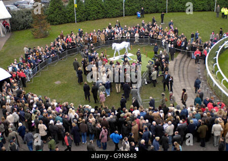 La statua di Desert Orchid a un servizio commemorativo per svelare la sua testa di pietra all'ippodromo di Kempton Park. Foto Stock