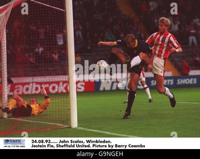 117280 John Scales Foto Stock