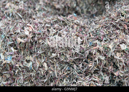 Note scozzesi grattugiate. Il denaro normalmente dura due anni ed è ordinato da una macchina che determina quando una nota è troppo danneggiata per rimanere in circolazione. Foto scattata al Museum on the Mound Edinburgh. Foto Stock
