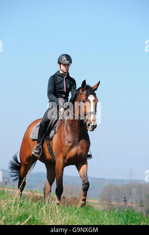 Il sentiero di equitazione, Tedesco cavallo Warmblood / pilota, a piedi Foto Stock