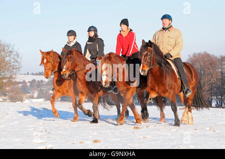 Il sentiero a cavallo, Pony Welsh, sezione D / Welsh Cob, pilota Foto Stock