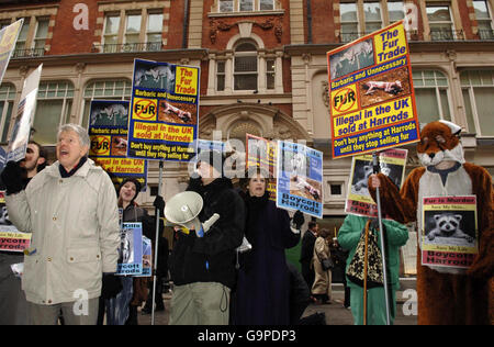 Una protesta anti-pelliccia si svolge fuori Harrods contemporaneamente a Kylie Minogue lanciando la sua fragranza (non correlato), Darling, presso il negozio nel centro di Londra. Foto Stock