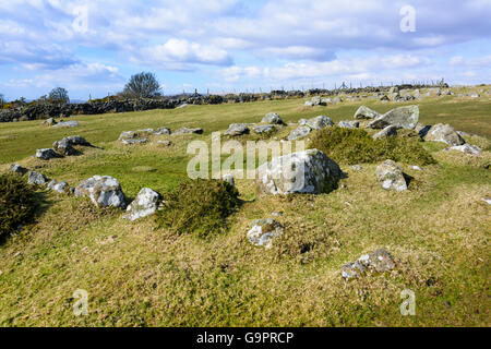 Età del Bronzo hut cerchi sul Harford Moro () Dartmoor Devon, Inghilterra Foto Stock