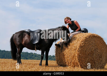 Donna sulla balla di paglia, con Pony islandese / sella, briglia Foto Stock