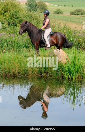 Donna sulla balla di paglia, con Pony islandese / equitazione casco Foto Stock