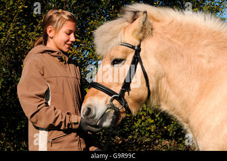 Ragazza con il vecchio norvegese cavallo, mare, 23 anni / tack Foto Stock