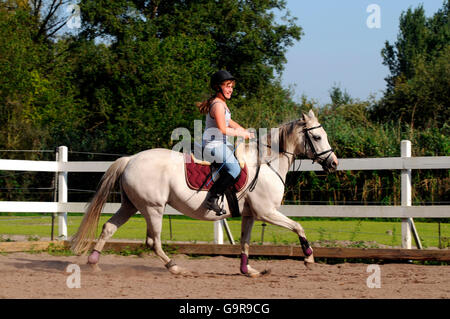 Ragazza sul tedesco Pony cavallo / equitazione casco, maneggio Foto Stock