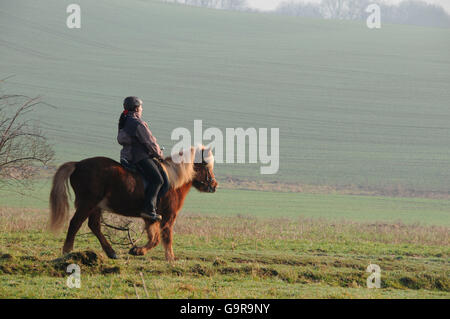 Sentiero, equitazione donna con cavallo islandese Foto Stock