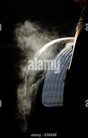 Sport Equestri, groppa, sudore, vapore vapor Foto Stock