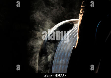 Sport Equestri, groppa, sudore, vapore vapor Foto Stock