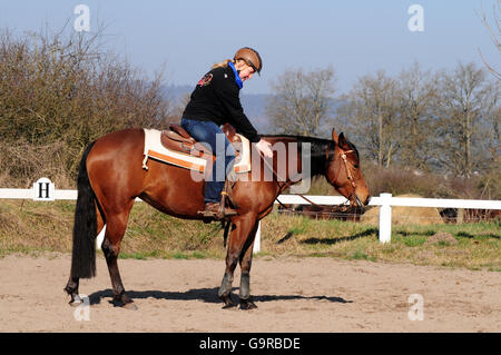 Equitazione western, American Quarter Horse, mare, allenamento, western tack, casco Foto Stock