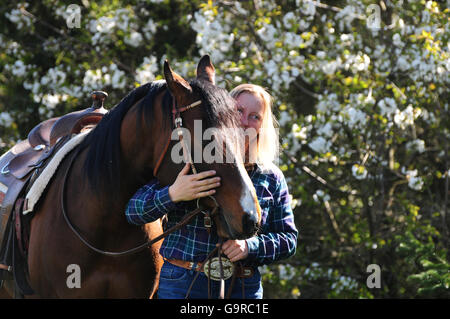 Rider con American Quarter Horse, stallone, bay Foto Stock