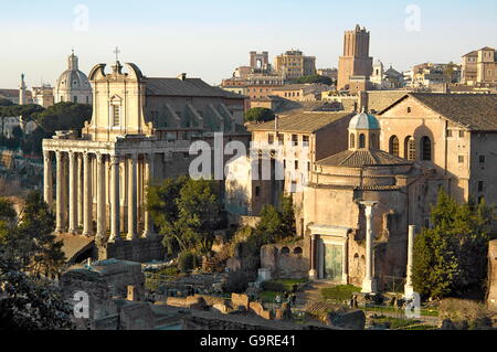 Chiesa di San Lorenzo in Miranda, ex tempio di Antonino e Faustina, Tempio di Romolo, Foro Romano, Roma, Lazio, Italia / Forum Romanum, Foro Romano Foto Stock