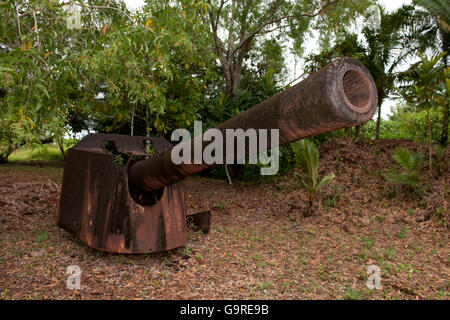 Il giapponese della Seconda Guerra Mondiale il cannone, Palau, Micronesia, arcipelago di Bismarck Foto Stock