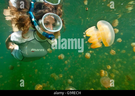 Snorkeler nel lago di Medusa, Palau, Micronesia / (Mastigias papua) Foto Stock