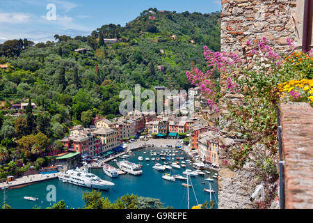 Porto, vista dal Castello Brown, Portofino Liguria, Italia Foto Stock