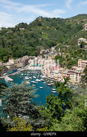 Porto, vista dal Castello Brown, Portofino Liguria, Italia Foto Stock