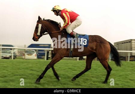 Horse Racing - Gare di Brighton Foto Stock