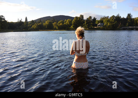 Sunset wild nuotare a Loch Insh la sorgente del fiume Spey Foto Stock