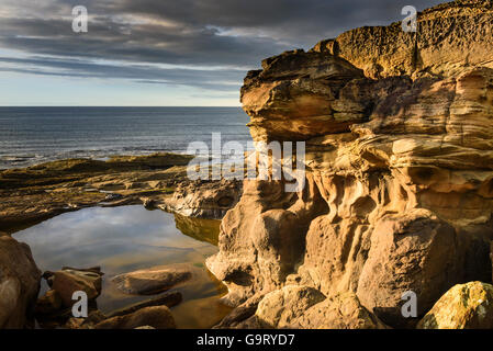 Le formazioni rocciose costiere a Howick, Northumberland Foto Stock